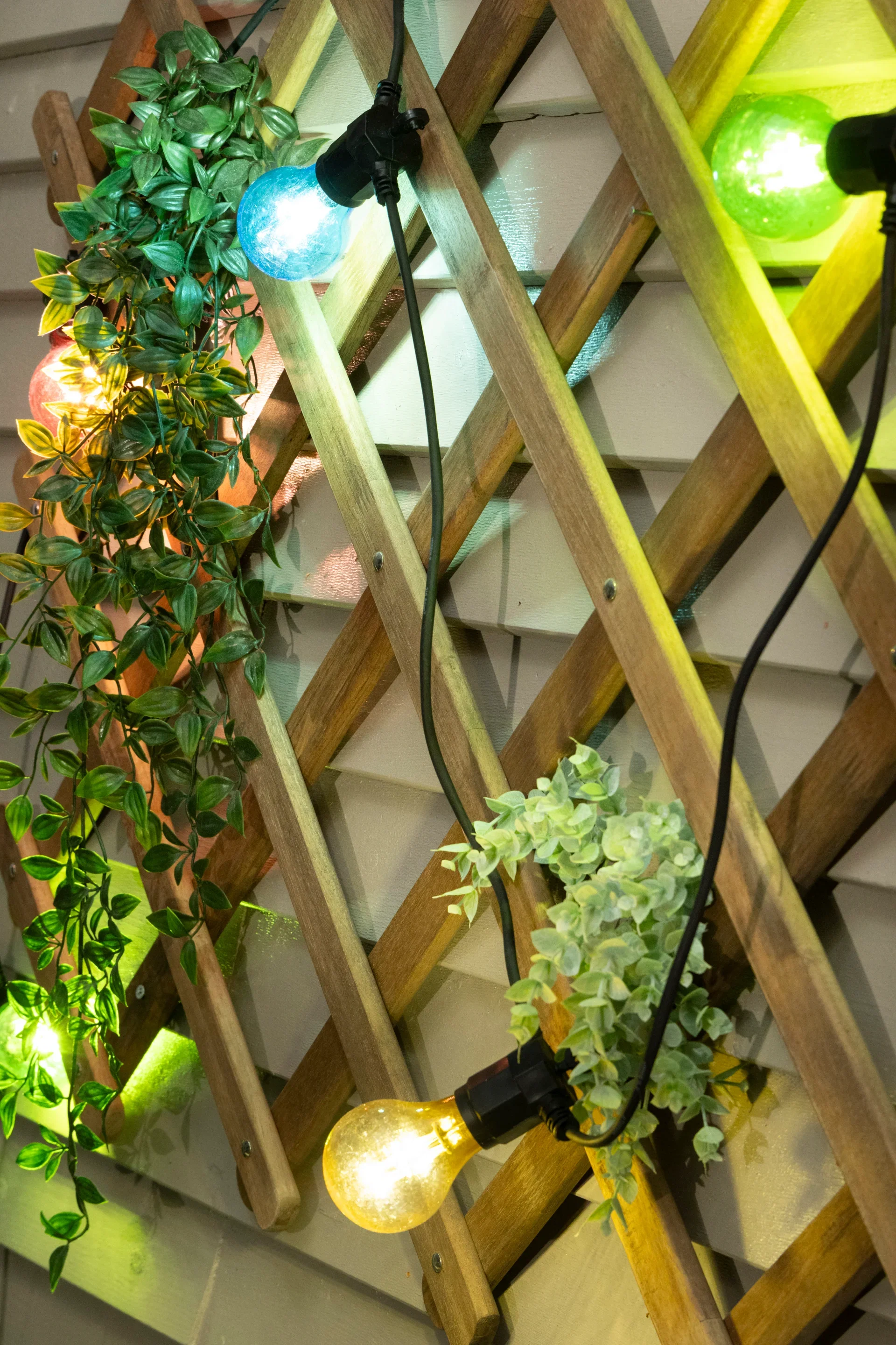 Ljusslinga Flerfärgad