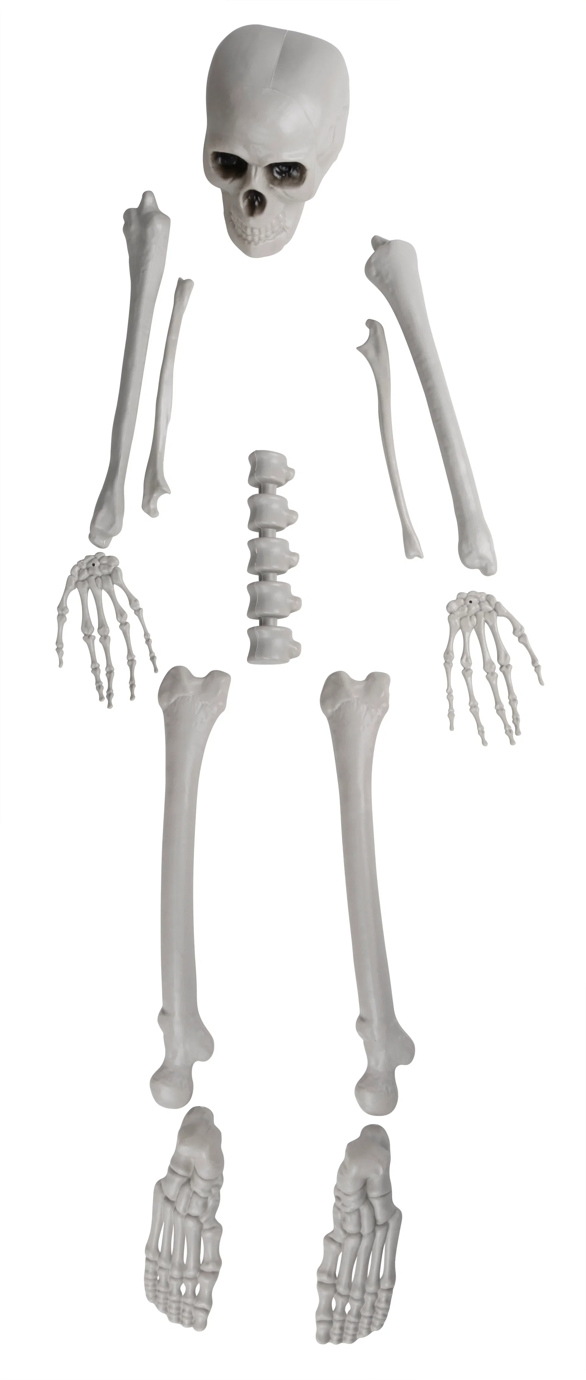 Halloween-dekoration skelettdelar
