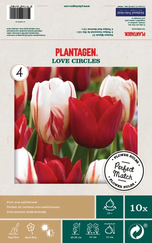 Tulpanmix Love Circles - 10 st