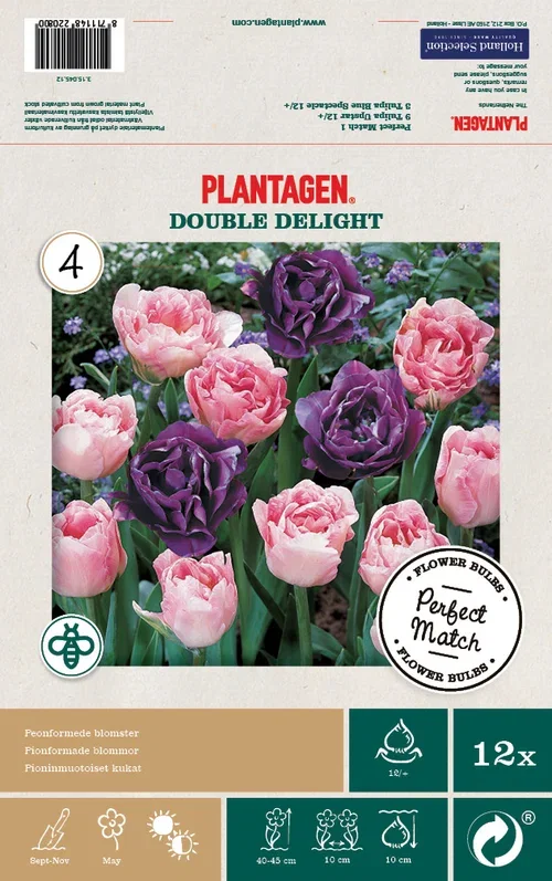 Tulpanmix Double Delight - 12 stk