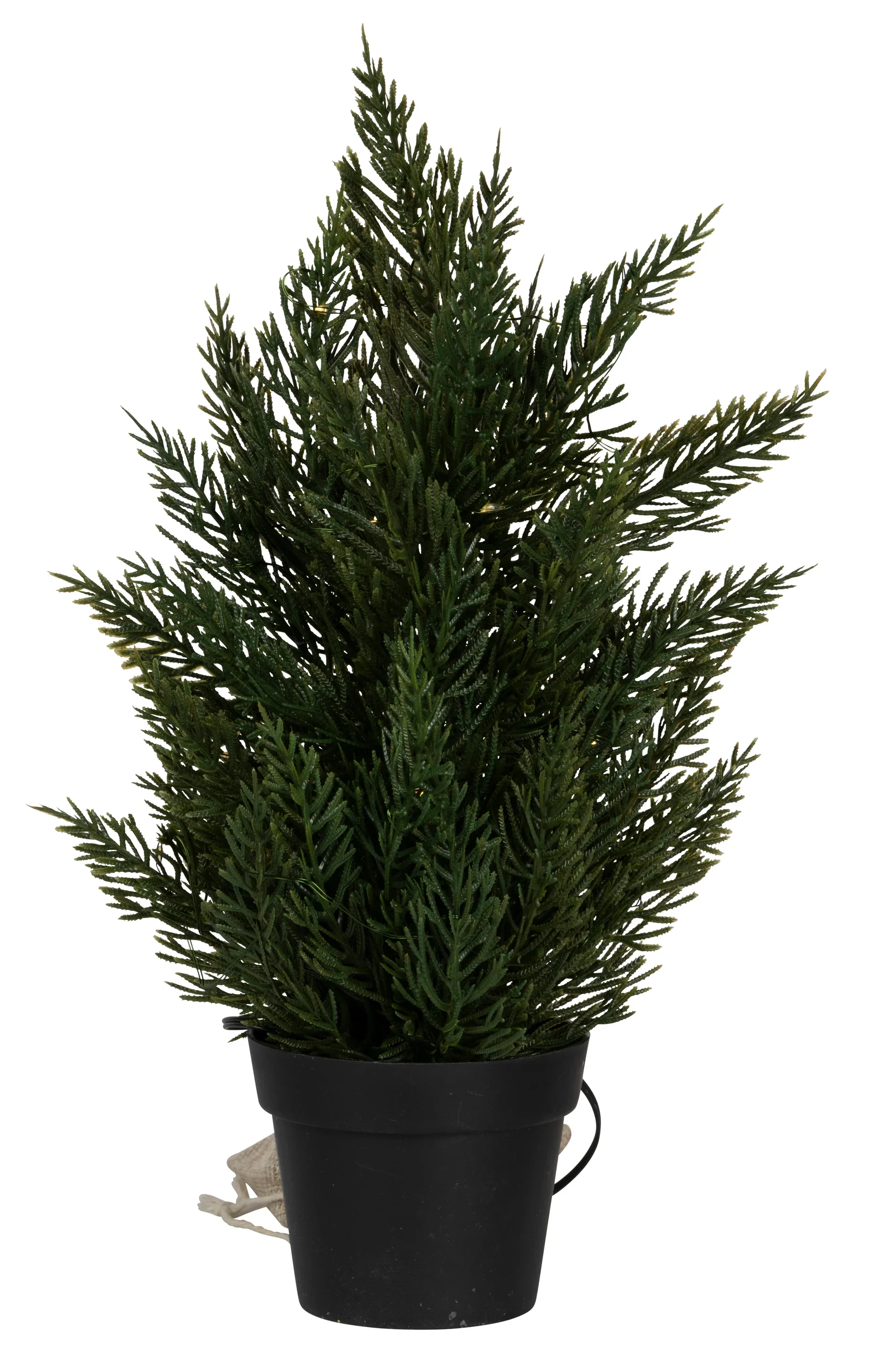 Julgran Thuja LED