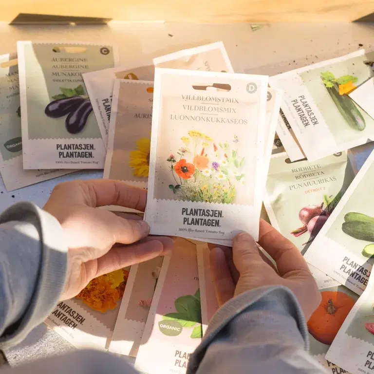 Fröskola - så från frö inomhus